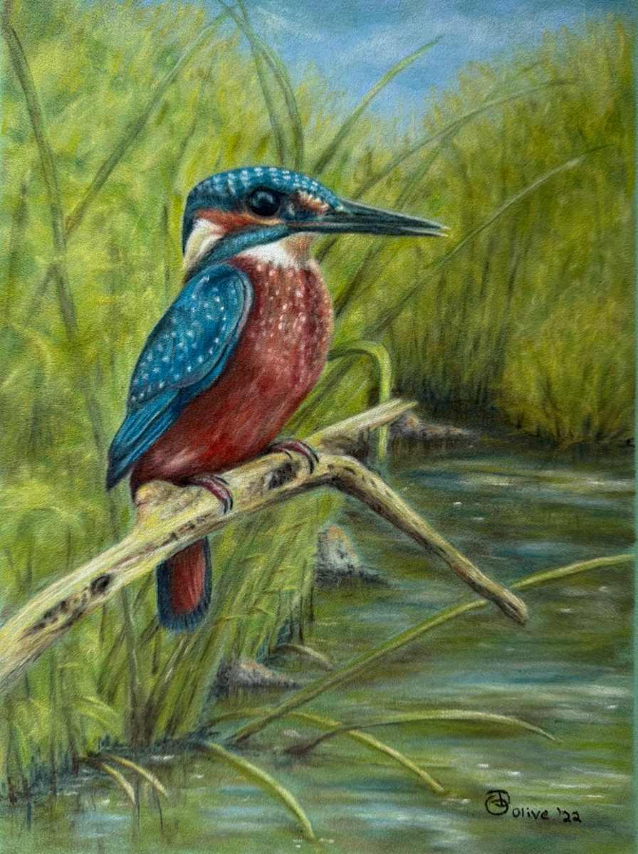 Kingfisher by Olive Dodd, Image 1.