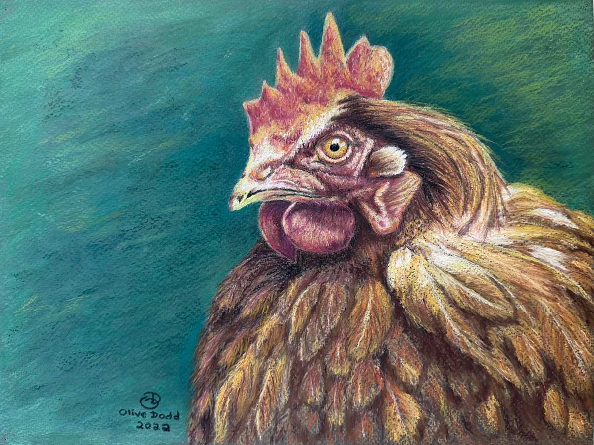 Curious Companion by Olive Dodd, Image 1.