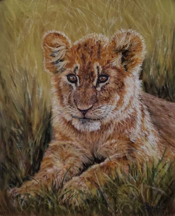 Golden Gaze by Olive Dodd  Image: Still, young, and already powerful