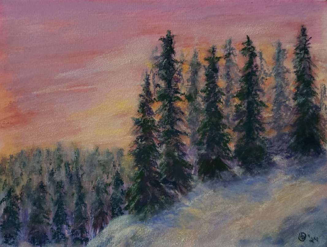 Black Spruce Sunset by Olive Dodd 