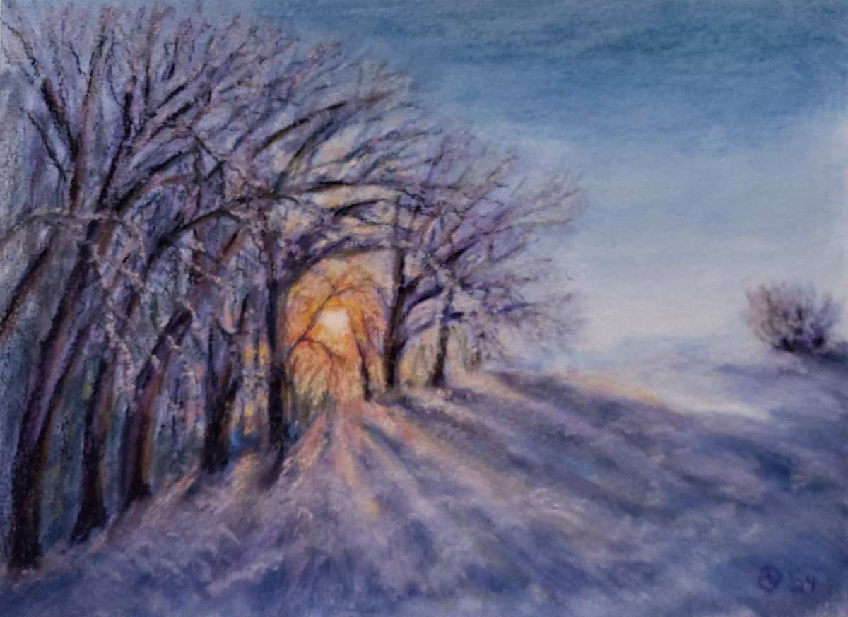 Sunset Tree Stand by Olive Dodd 