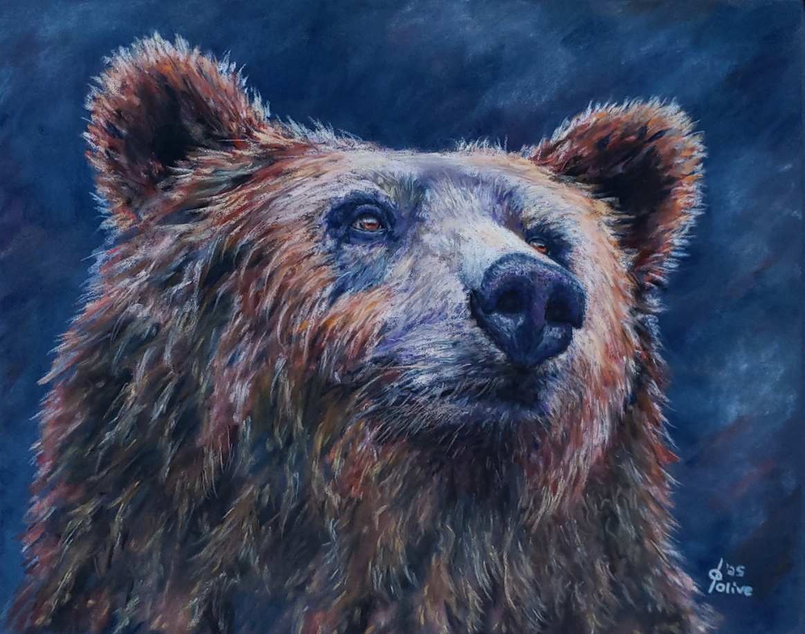 Silent Shaggy Strength by Olive Dodd  Image: Silent Shaggy Strength