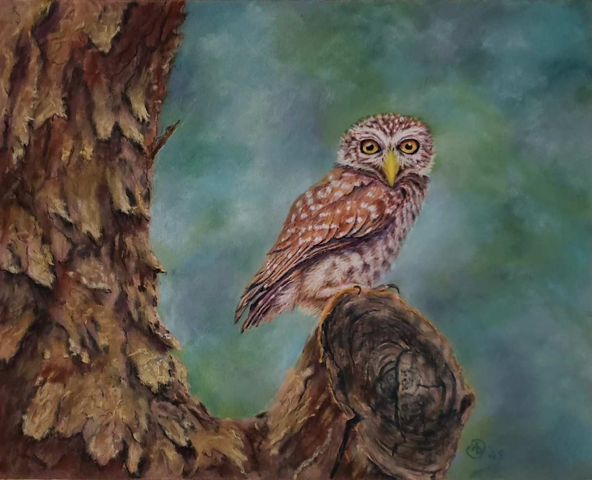 Owl's Cozy Gnarls by Olive Dodd  Image: Owl's Cozy Gnarls