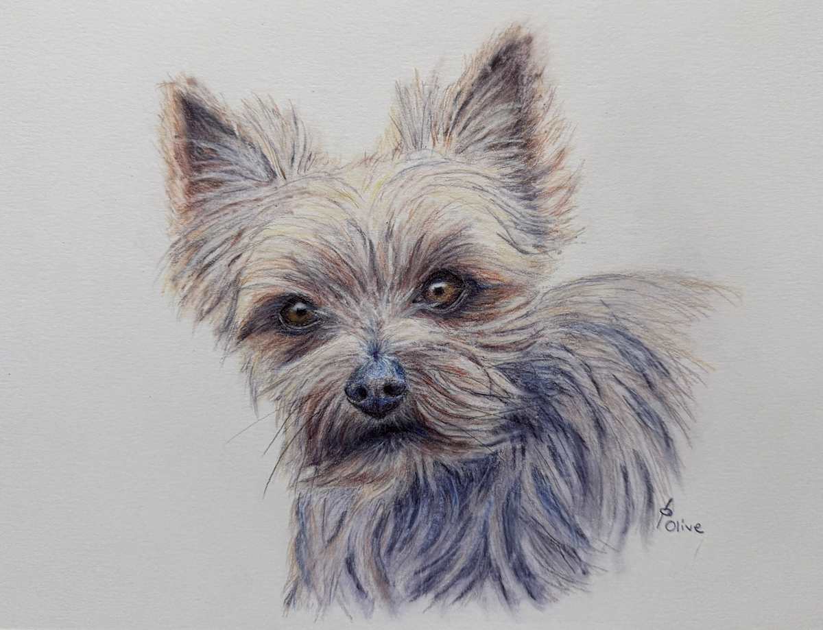 Faithful Friend by Olive Dodd, Image 1.