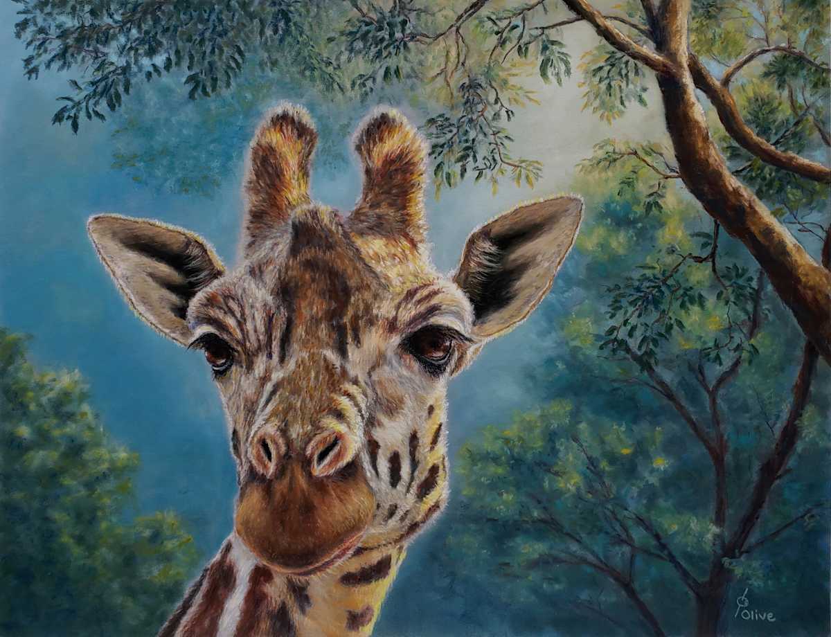 Meet Me in the Canopy by Olive Dodd  Image: A quiet moment with one of nature’s gentle giants.