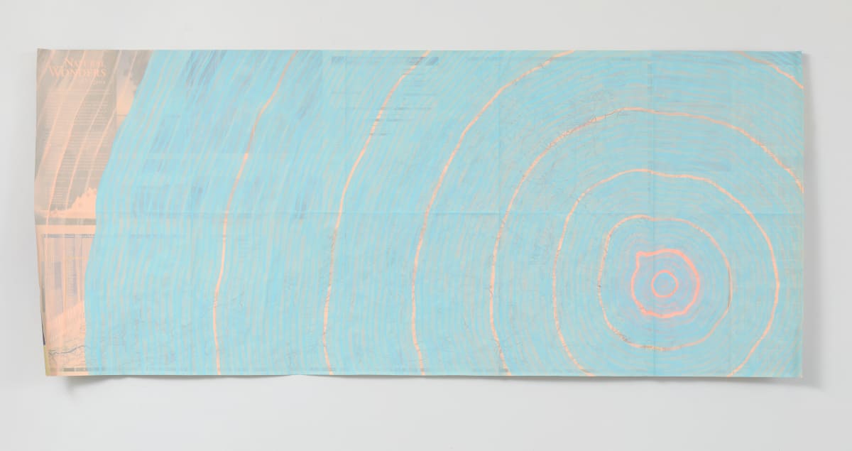 Swell (from the Chesapeake Bay Impact Crater Series) by Meg Roberts Arsenovic 