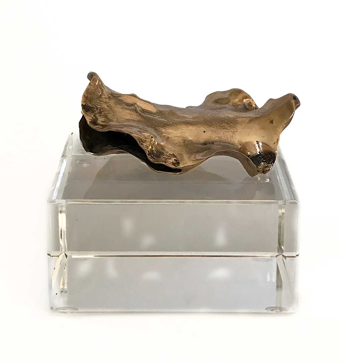Small Jacaranda on Crystal Plinth #7 by Sarah Heinamann Studio, Image 1.