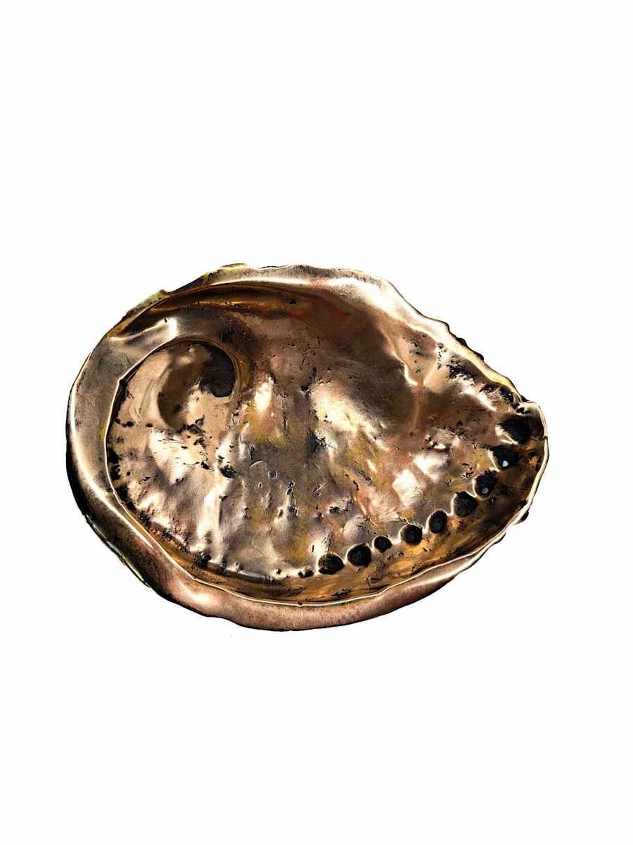 Perlemoen Shell by Sarah Heinamann Studio, Image 2.