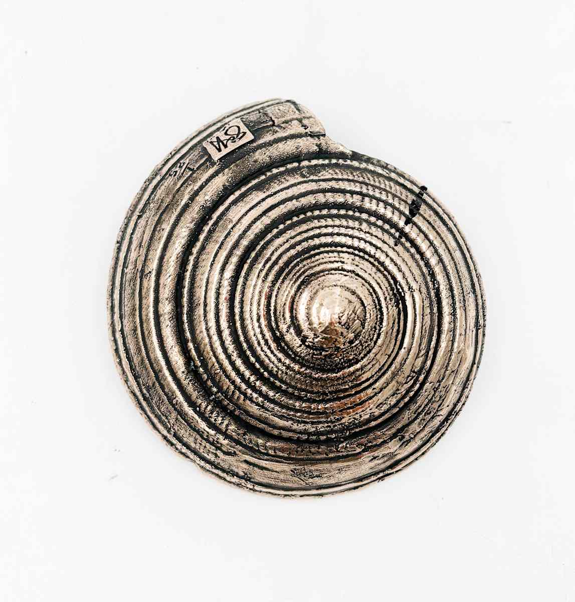 Medium Sundial Shell , edition image.