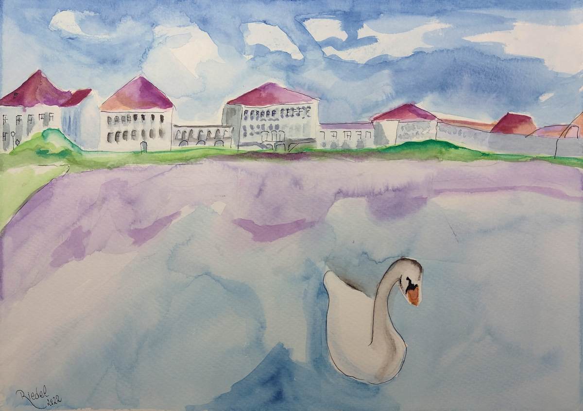 Nymphenburg Castle in Munich with Swan by Paul Riedel 
