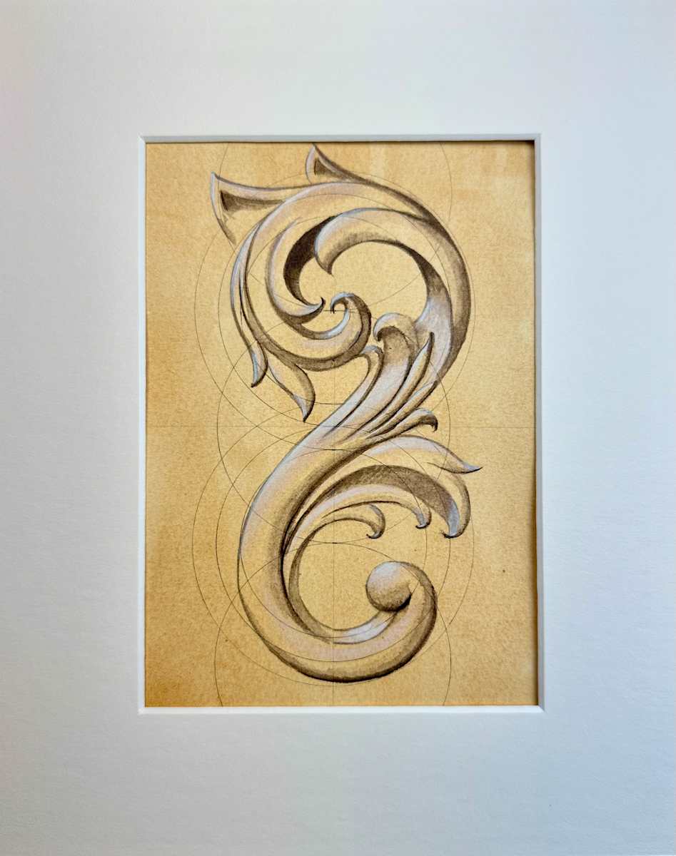 A Study of Acanthus I by Elizabeth Bronwen Reimer, Image 1.
