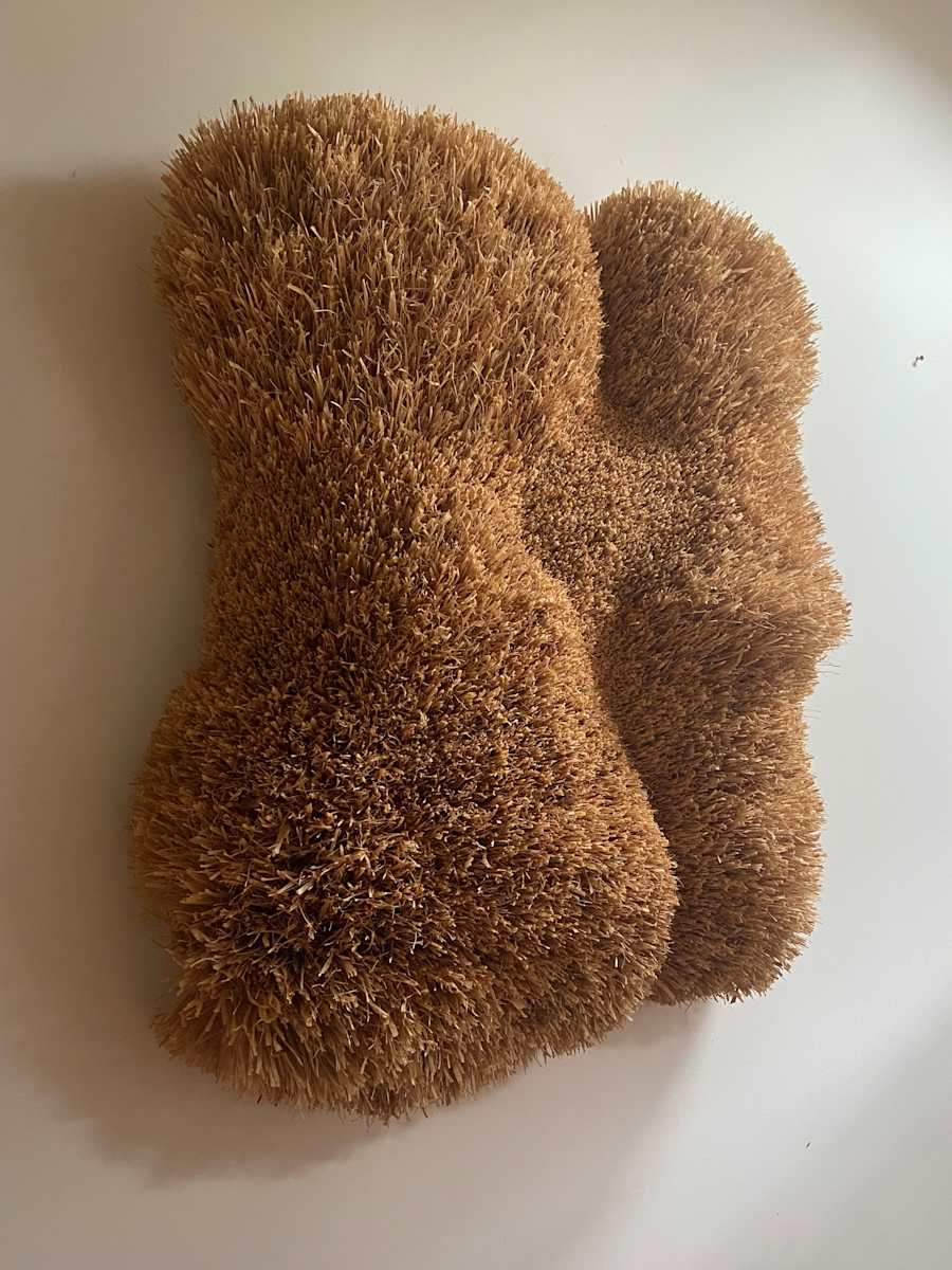 Transformaciones Orgánicas by Jessica Ozlo 