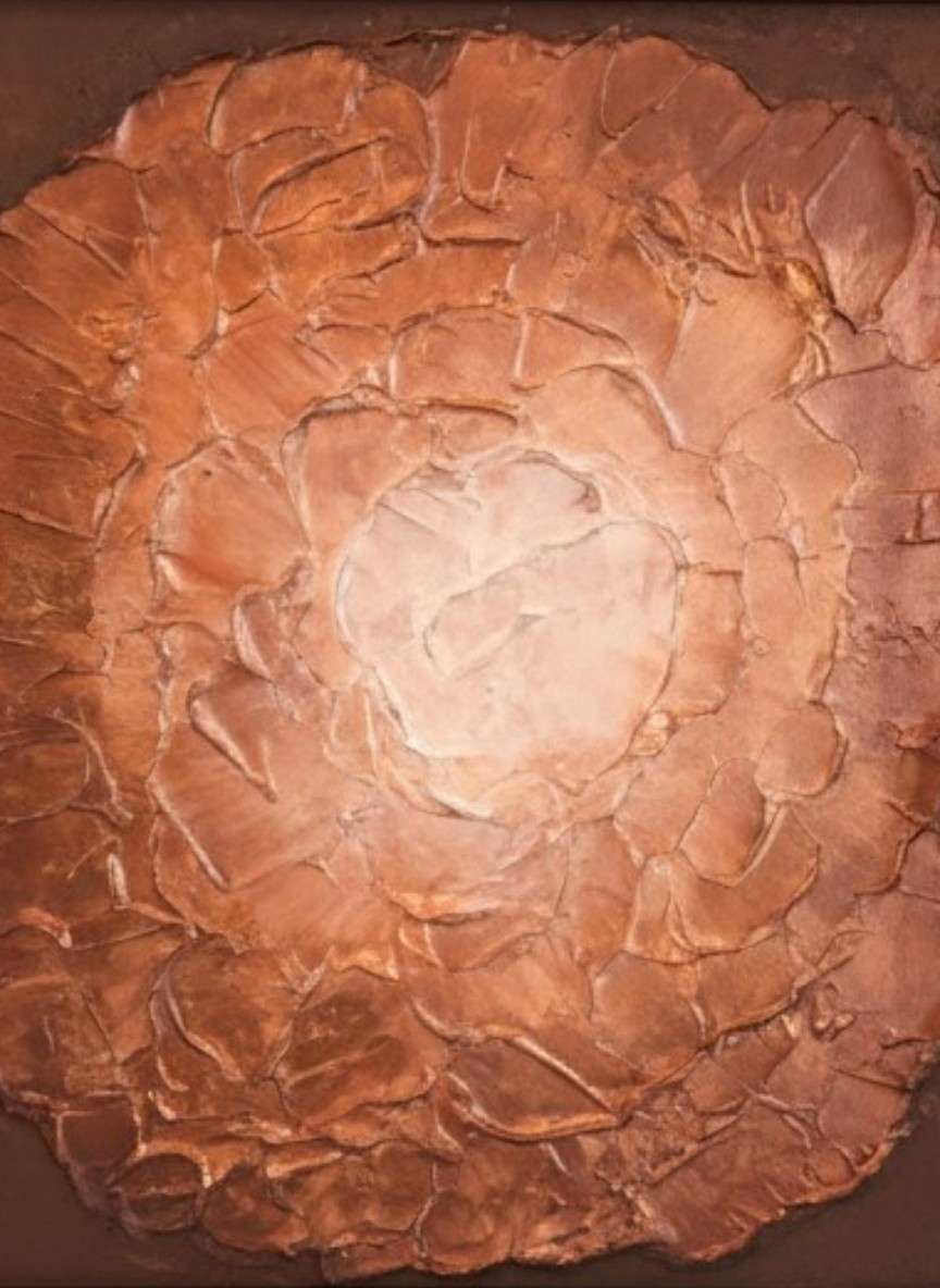 Copper Galaxy by Susi Schuele, Image 1.