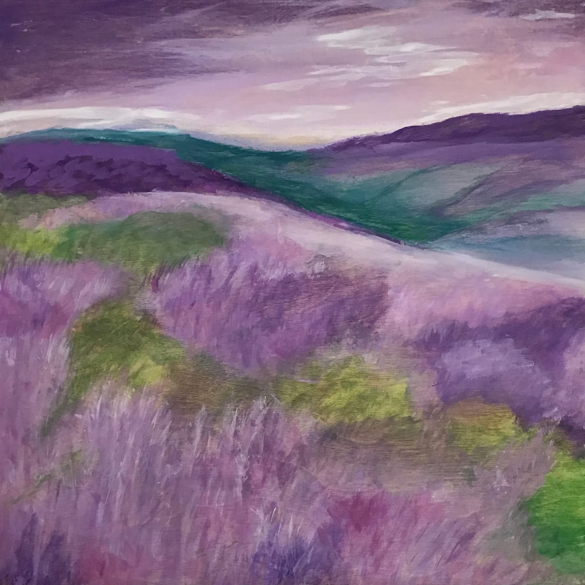 Purple Heather by Susi Schuele 