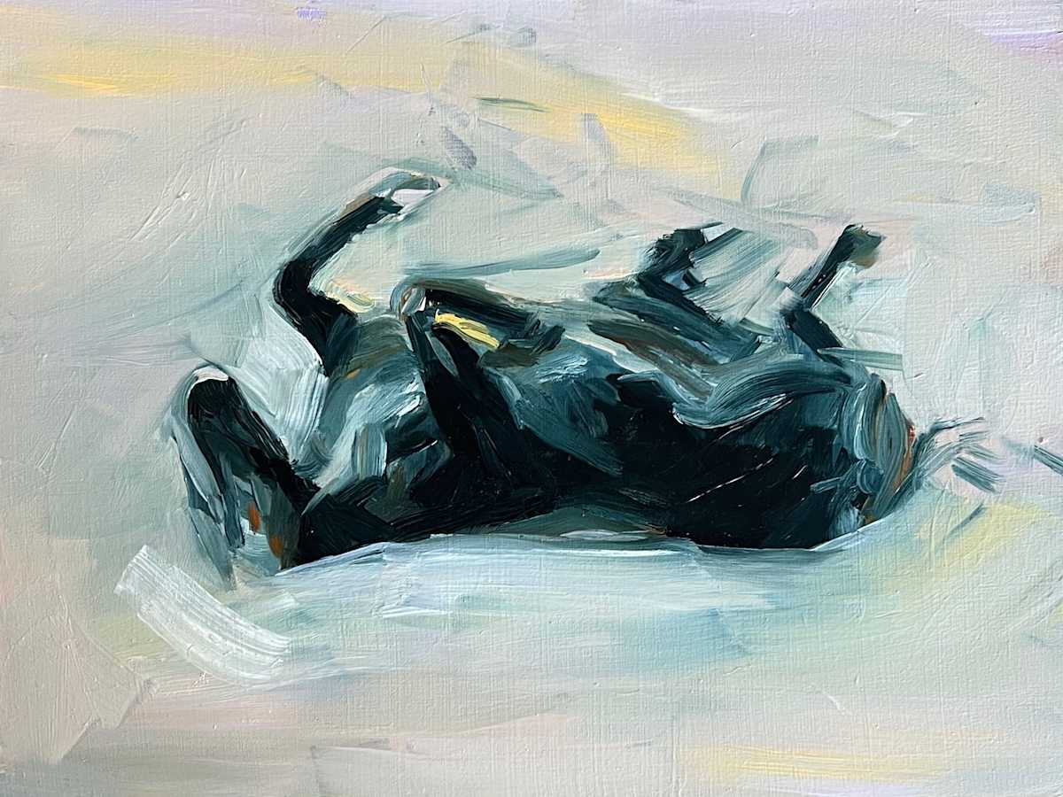 Sieve by Taryn Uribe Turner 