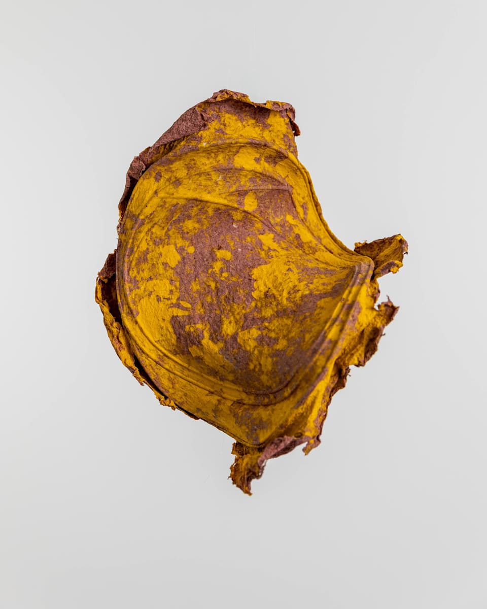 Sun Spot II by Dave King, Image 3.