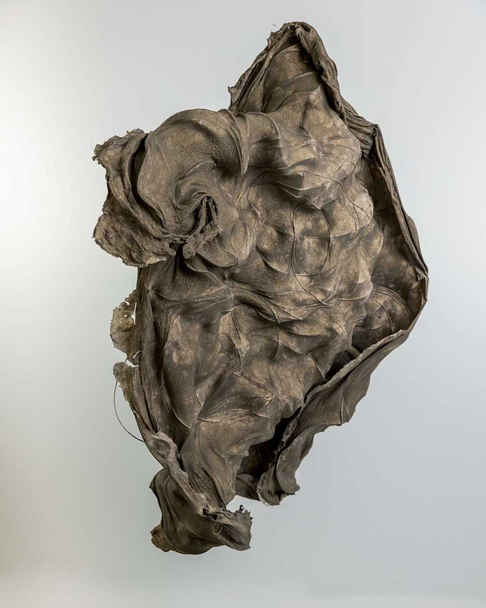 Golden Wave by Dave King, Image 5.