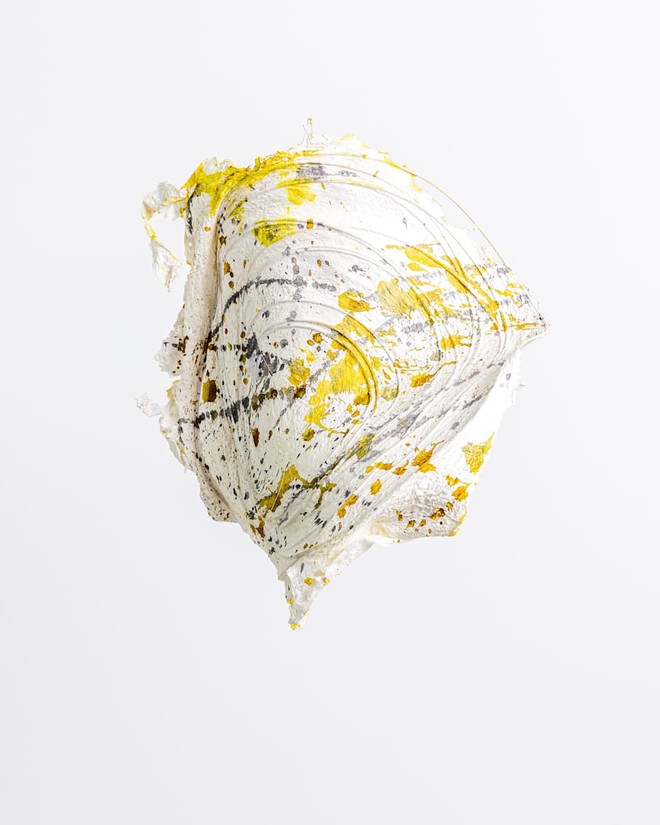 Concentric Splash I by Dave King, Image 6.