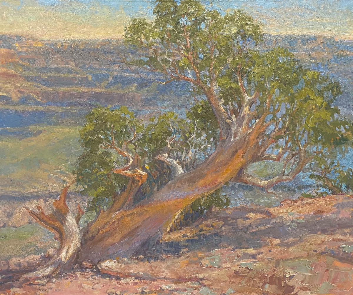 Canyon Juniper by Suzie Baker  Image: 'Life on the Edge'
On exhibit at Illume Gallery West Aug 3 through Aug 31, 2023