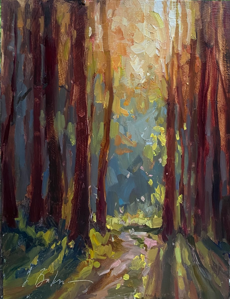 Into the Light by Suzie Baker 