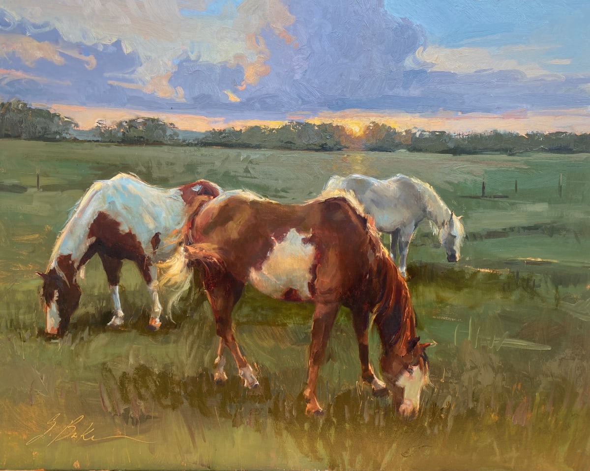 Trio by Suzie Baker  Image: Trio - Horses belonging to Rancher and Investigator Tim Wilson - purchased by him in November of 2021