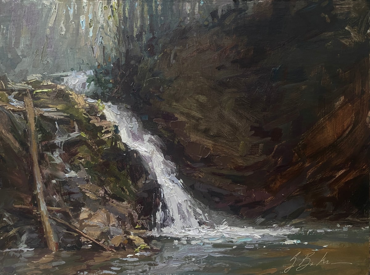 Brasstown Falls by Suzie Baker 