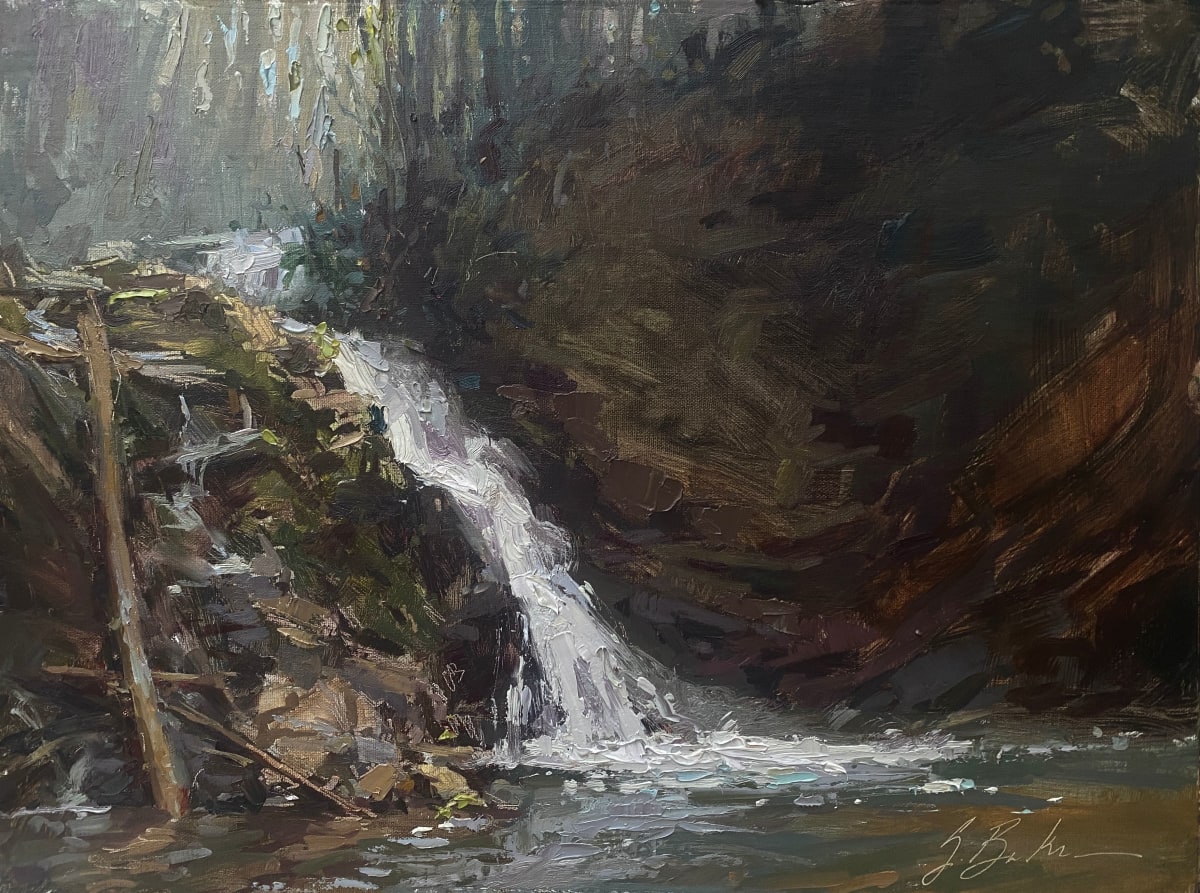 Brasstown Falls by Suzie Baker 