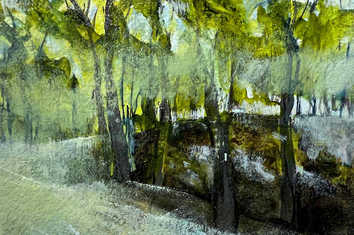 Misty morning Ellison Park by Pat DeLuca  Image: Acrylic on paper. Early morning walk in Ellison Park. 