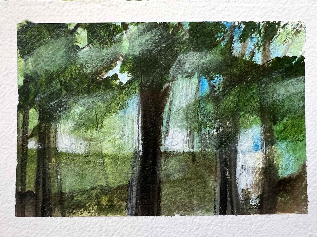 Windy walk - Park Road by Pat DeLuca, Image 1.