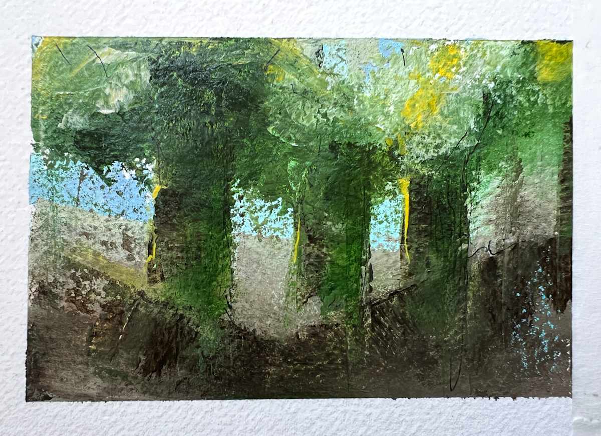 Above Indian Head Trail by Pat 