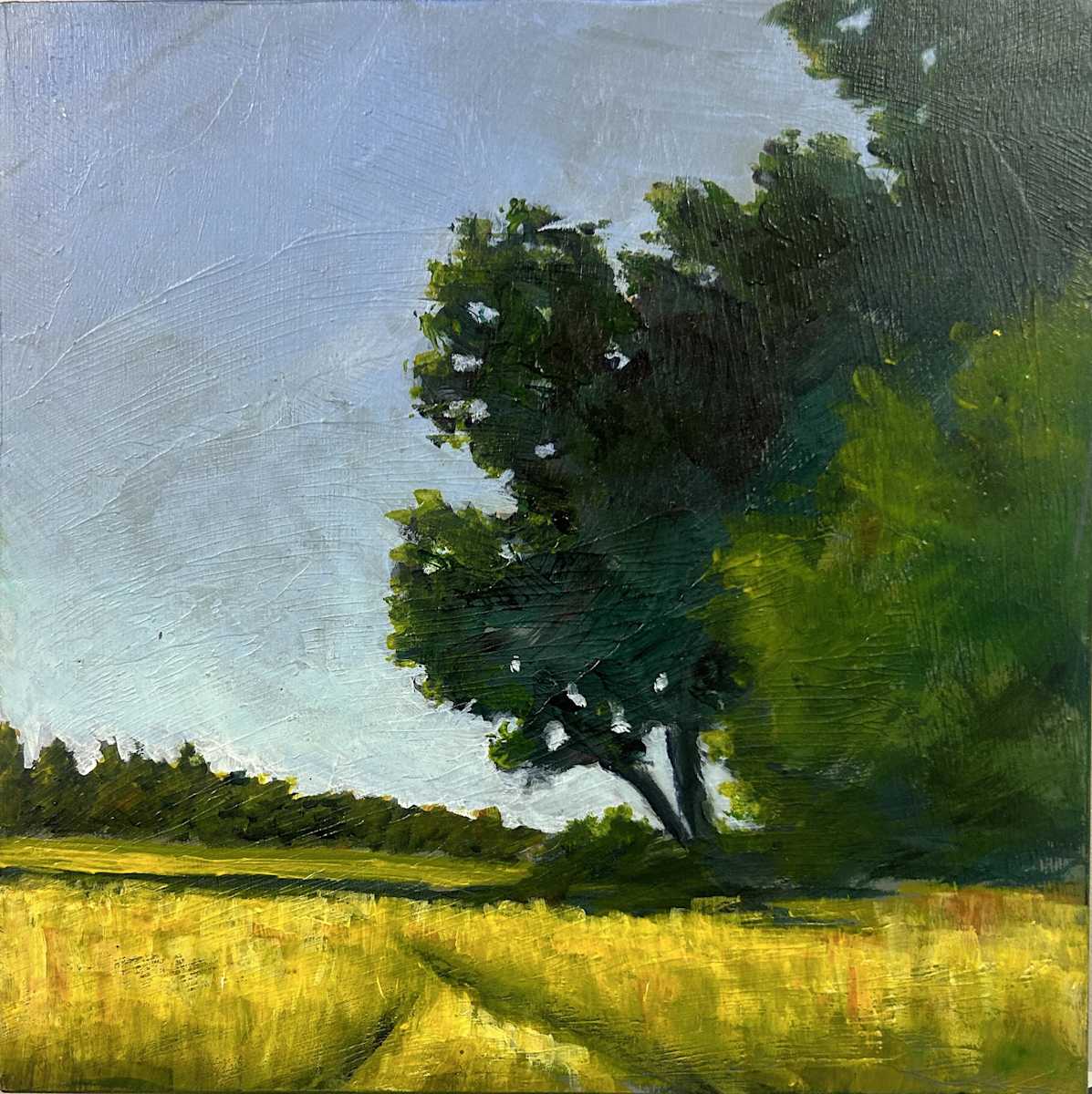 Ripened by Terry Head 
