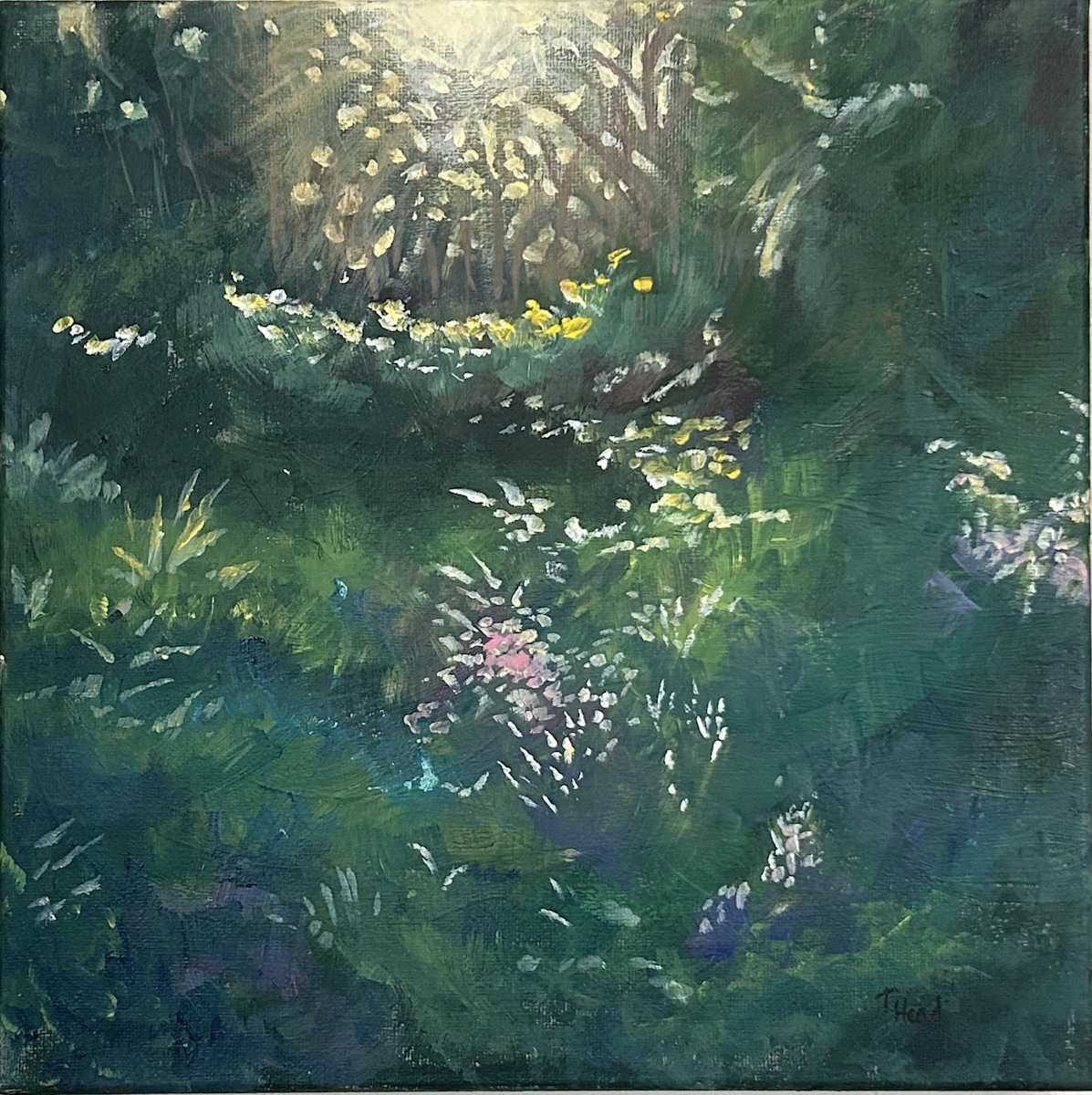 Illumine by Terry Head 