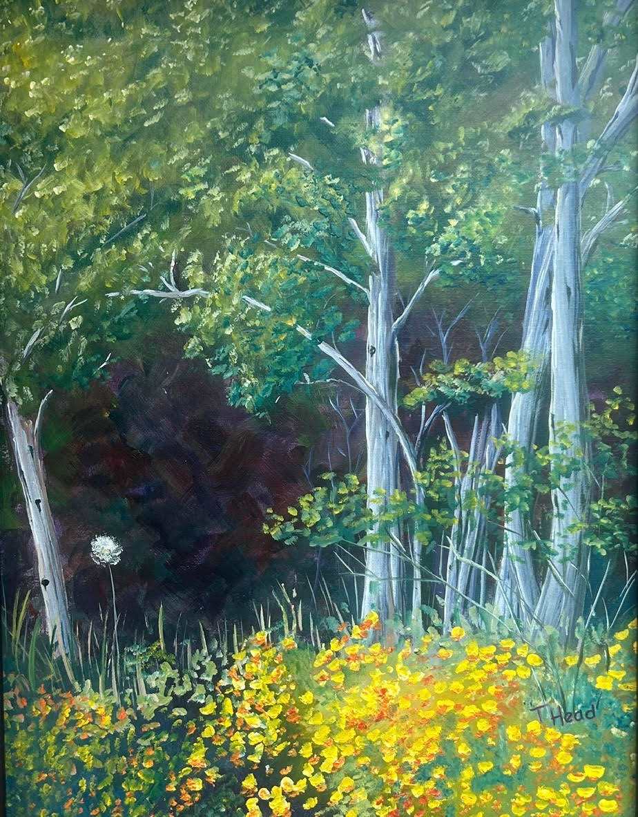 Golden Edge by Terry Head 