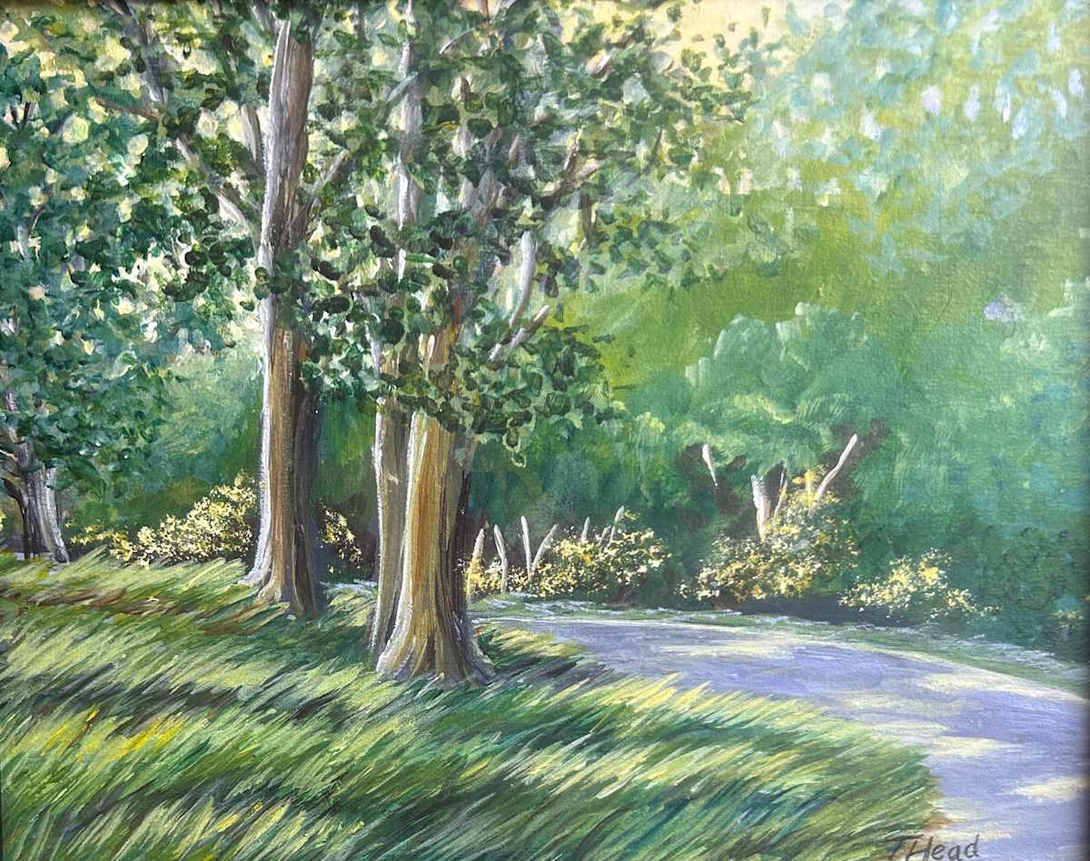 Honeysuckle Road by Terry Head 