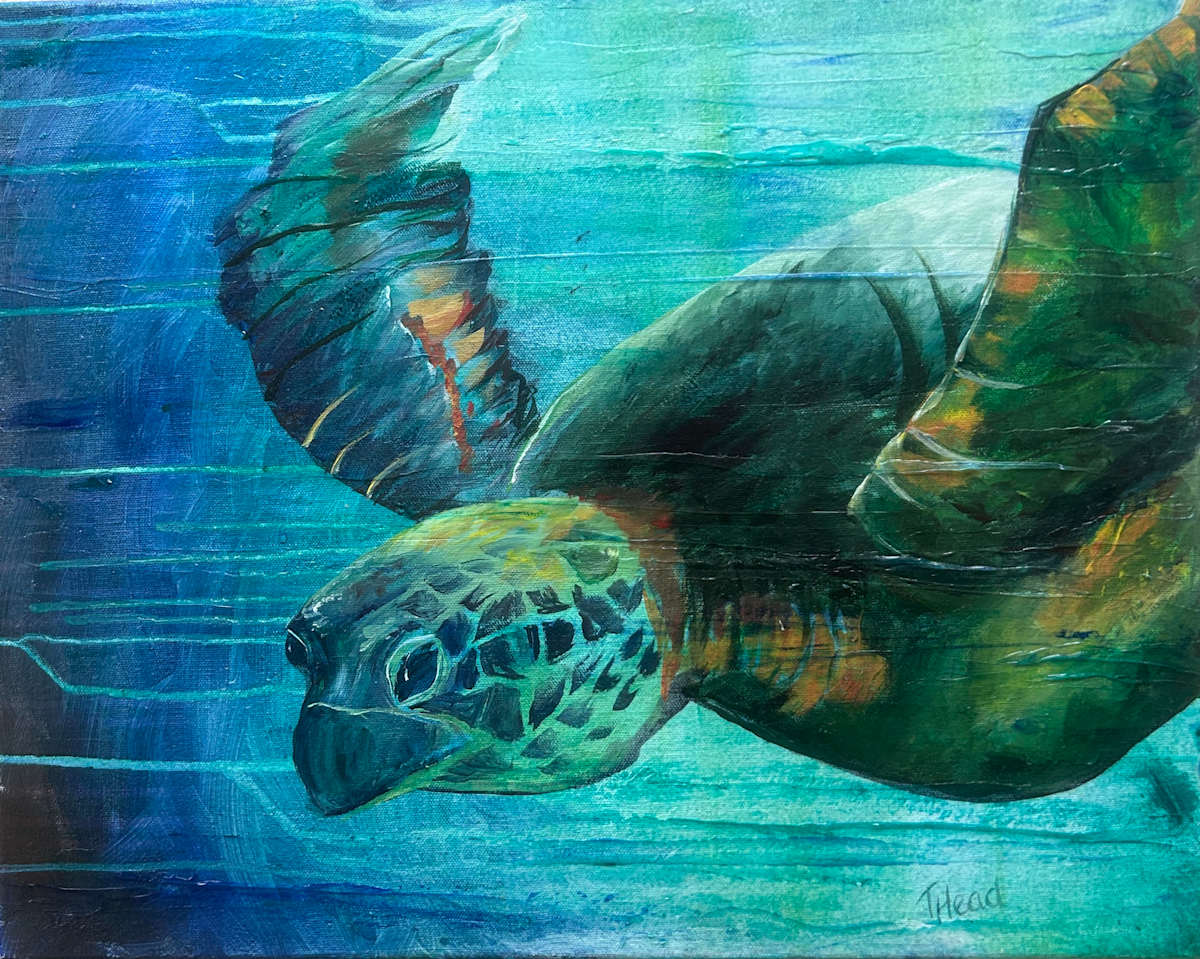 Searching for Hares by Terry Head 