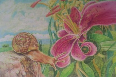 Snails journey by David Heatwole 