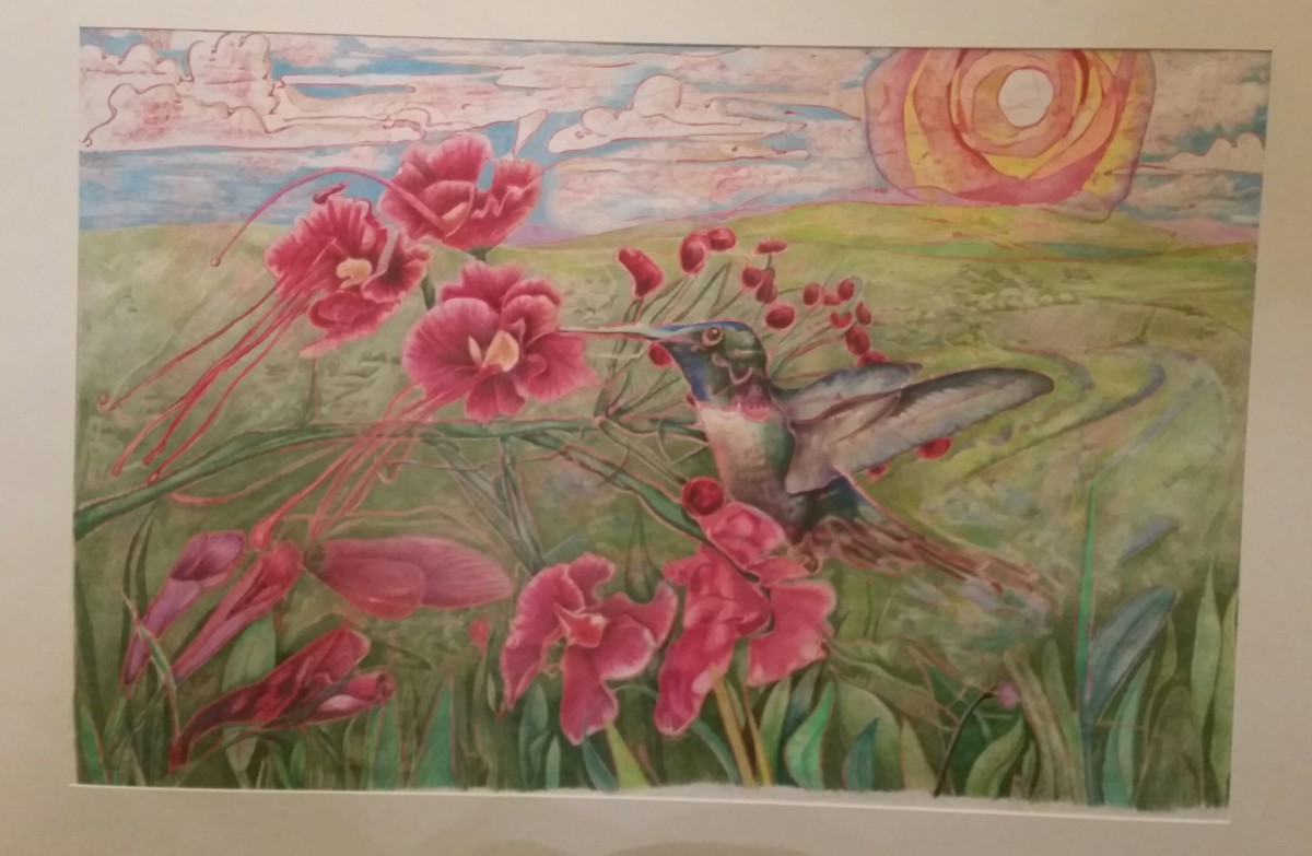 Hummingbird Daze by David Heatwole 