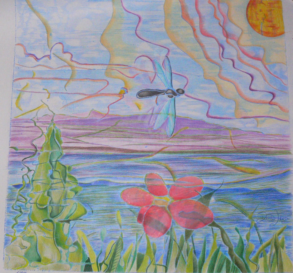 Dragonfly field by David Heatwole, Image 1.