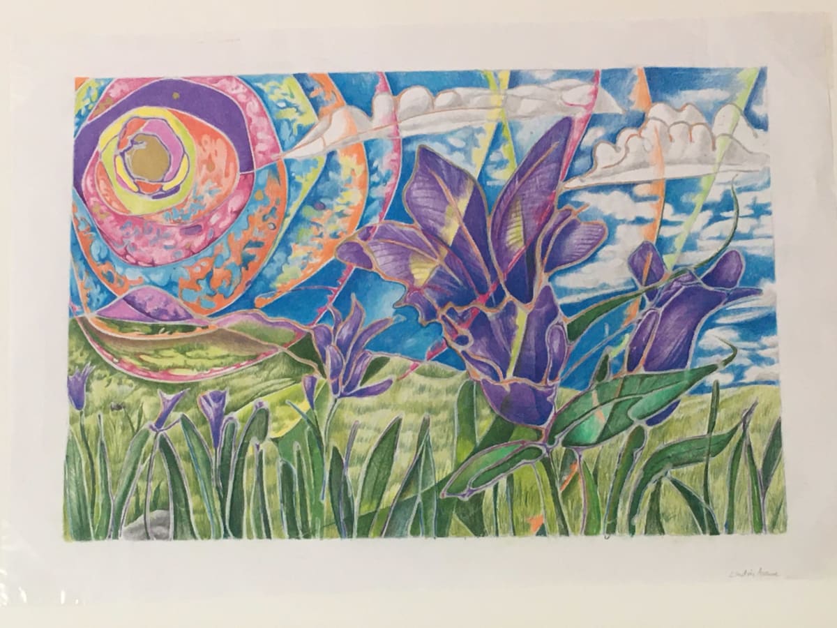 Electric fields forever (electric avenue) by David Heatwole 