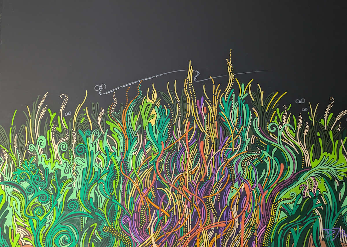 Shifting Garden by David Heatwole  Image: "shifting garden" by David F. Heatwole