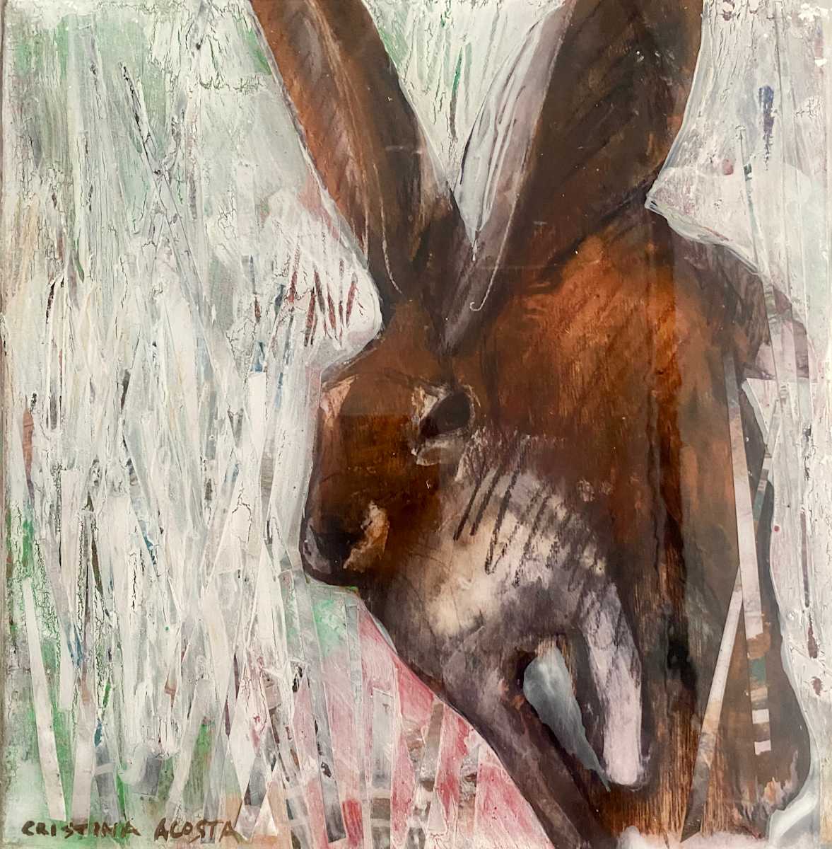 Snow Hare by Cristina Acosta 