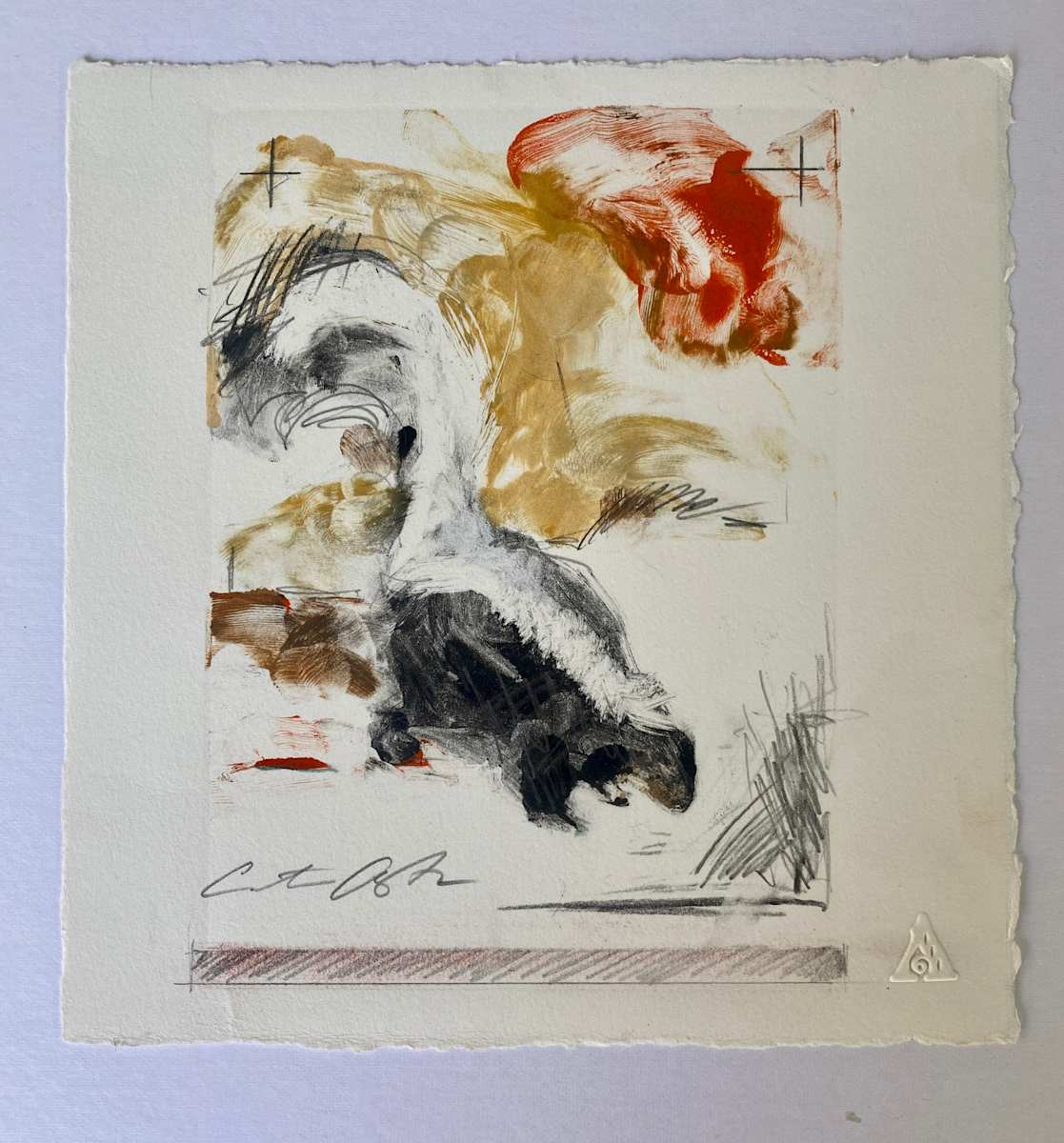 Sweet Skunk by Cristina Acosta 