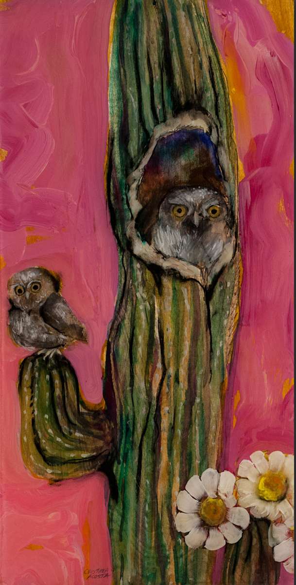 Desert Owl in Saguaro by Cristina Acosta 