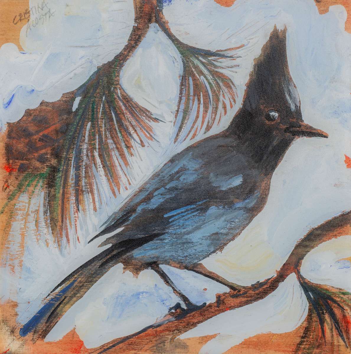 Steller Jay Moment by Cristina Acosta, Image 1.