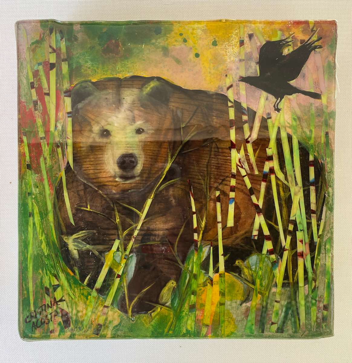 Hello Crow by Cristina Acosta 