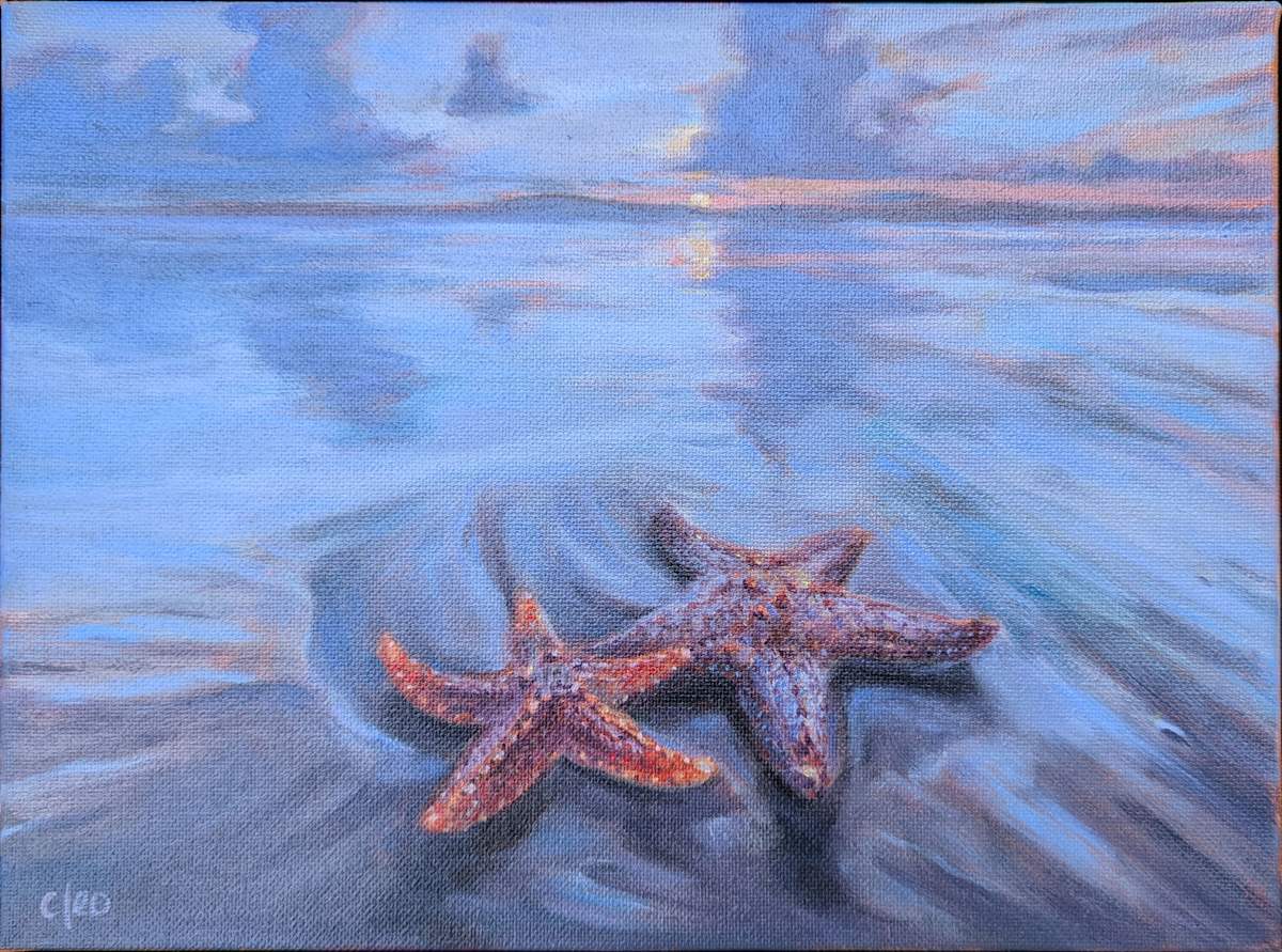 Starfish at Sundown by Cleo Huggins 