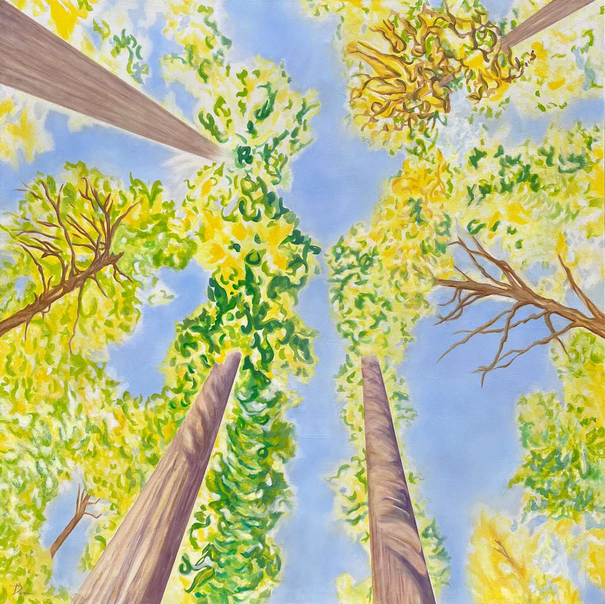 Wonder by Dena D'Angelo  Image: stretched canvas