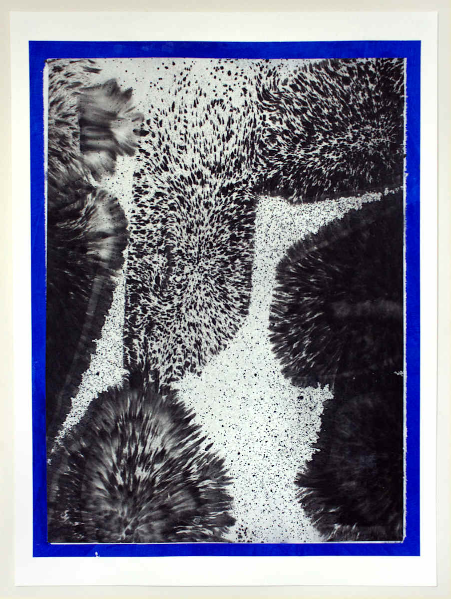 Sweep 1, 2/5 by Erin Morrison, Image 1.