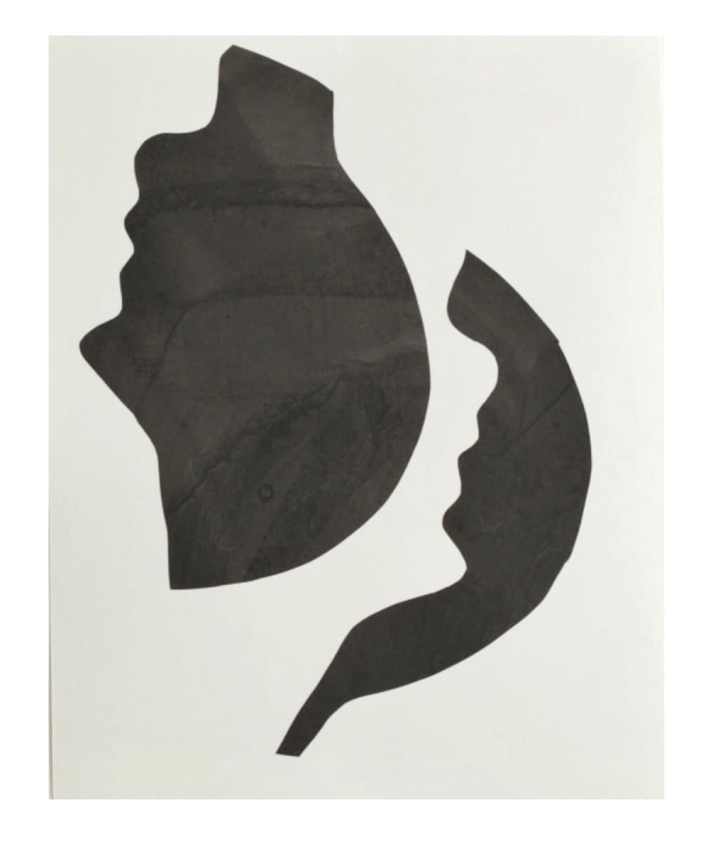 C_1026 (copy) by Erin Morrison, Image 1.