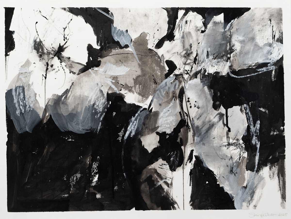 Noir Gardens by Astrid Steingrueber, Image 5.